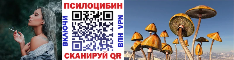 купить наркоту  Кимовск  Галлюциногенные грибы мухоморы 